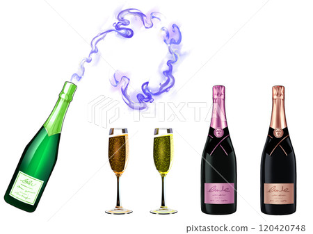 Sake bottle illustration set 120420748