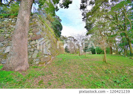 縣指定古蹟伊勢丸城的石牆和曲線景觀 120421239