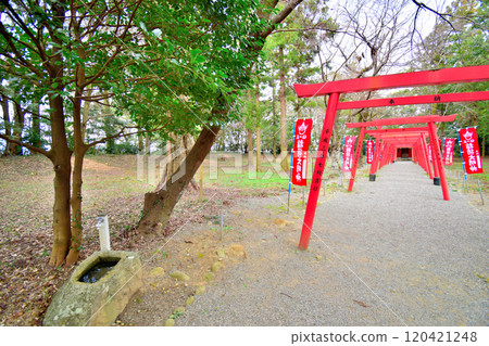 縣指定古蹟伊勢丸城的石牆和曲線景觀 縣指定古蹟伊勢丸城的石牆和曲線景觀 120421248