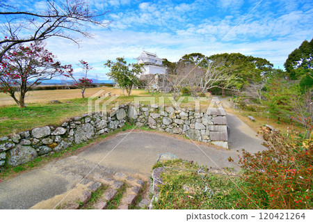 縣指定古蹟伊勢丸城的石牆和曲線景觀 縣指定古蹟伊勢丸城的石牆和曲線景觀 120421264