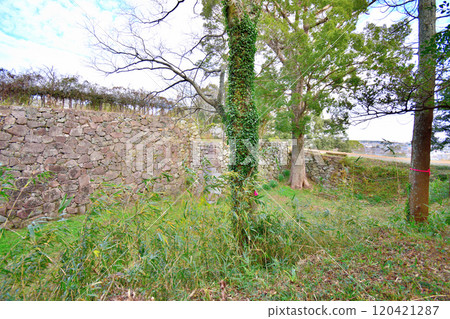 縣指定古蹟伊勢丸城的石牆和曲線景觀 120421287