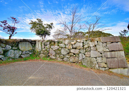 縣指定古蹟伊勢丸城的石牆和曲線景觀 120421321