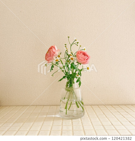 Pink ranunculus with glass vase and white tile Pink ranunculus with glass vase and white tile 120421382