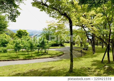 A view of the promenade surrounded by lush greenery from Kayama Park, one of Japan's top 100 historical parks. Yamaguchi City, Yamaguchi Prefecture A view of the promenade surrounded by lush greenery from Kayama Park, one of Japan's top 100 historical parks. Yamaguchi City, Yamaguchi Prefecture 120421559
