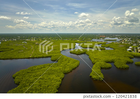 Overhead view of Everglades swamp with green vegetation between water inlets. Natural habitat of many tropical species in Florida wetlands Overhead view of Everglades swamp with green vegetation between water inlets. Natural habitat of many tropical species in Florida wetlands 120421838