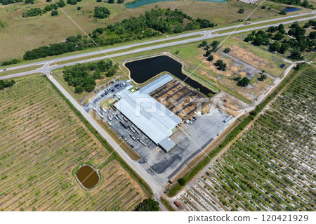 Large stockyard with meat cows. Feeding of cattle on farm feedlot in countryside area 120421929