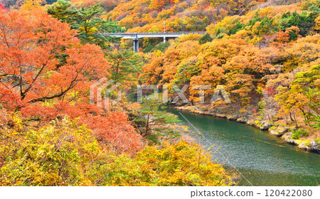 Scenery of Kawaji Onsen dyed in autumn leaves in Nikko, Tochigi Prefecture 120422080