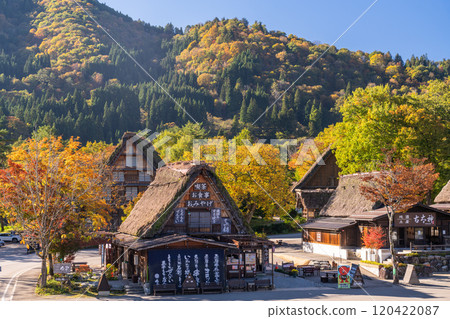 《Gifu Prefecture》 Autumn Shirakawa-go, autumn leaves gassho-zukuri village 120422087