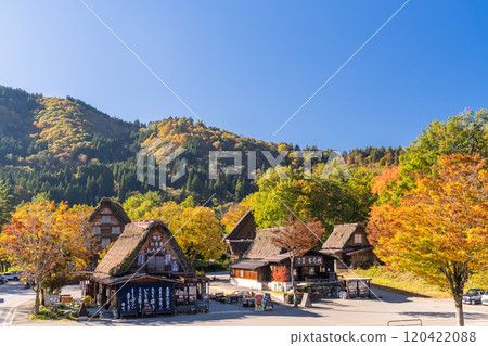 《Gifu Prefecture》 Autumn Shirakawa-go, autumn leaves gassho-zukuri village 《Gifu Prefecture》 Autumn Shirakawa-go, autumn leaves gassho-zukuri village 120422088
