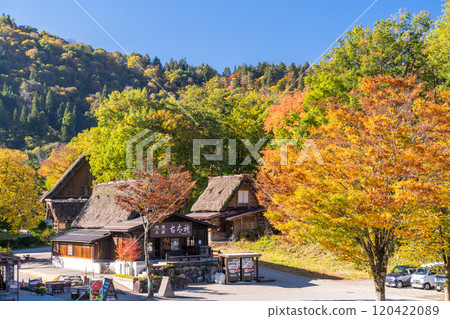 《Gifu Prefecture》 Autumn Shirakawa-go, autumn leaves gassho-zukuri village 120422089