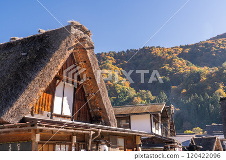 《岐阜縣》秋白川鄉秋葉合掌祖里村 120422096