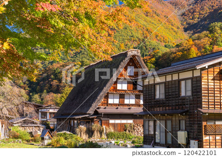 《岐阜縣》秋白川鄉秋葉合掌祖里村 120422101