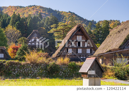 《Gifu Prefecture》 Autumn Shirakawa-go, autumn leaves gassho-zukuri village 120422114