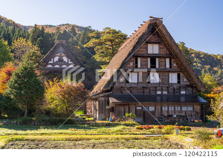 《Gifu Prefecture》 Autumn Shirakawa-go, autumn leaves gassho-zukuri village 120422115