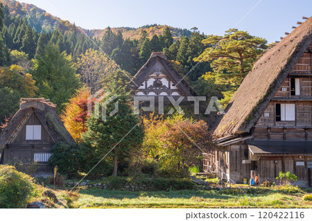 《Gifu Prefecture》 Autumn Shirakawa-go, autumn leaves gassho-zukuri village 120422116