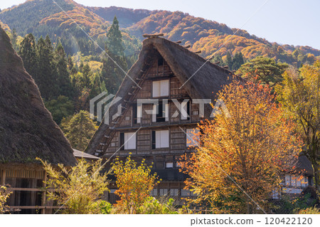 《岐阜縣》秋白川鄉秋葉合掌祖里村 《岐阜縣》秋白川鄉秋葉合掌祖里村 120422120
