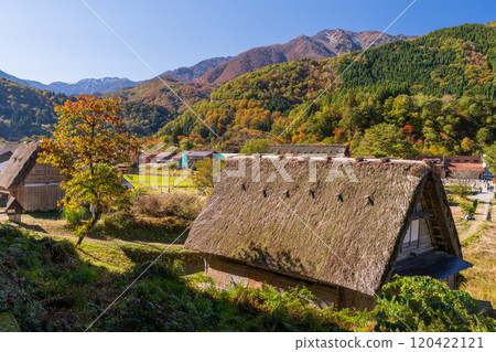 《岐阜縣》秋白川鄉秋葉合掌祖里村 120422121