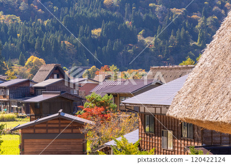 《岐阜縣》秋白川鄉秋葉合掌祖里村 120422124