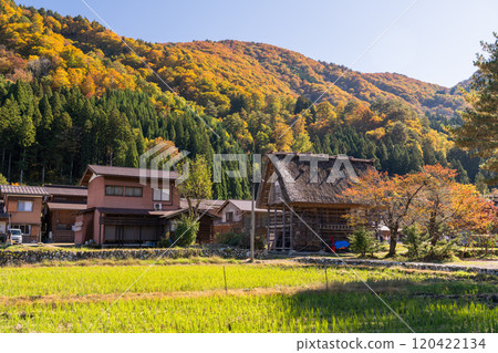 《岐阜縣》秋白川鄉秋葉合掌祖里村 《岐阜縣》秋白川鄉秋葉合掌祖里村 120422134