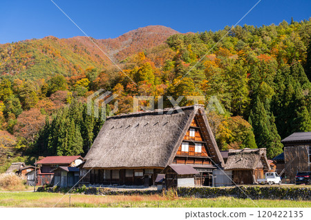 《Gifu Prefecture》 Autumn Shirakawa-go, autumn leaves gassho-zukuri village 120422135