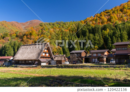 《Gifu Prefecture》 Autumn Shirakawa-go, autumn leaves gassho-zukuri village 120422136