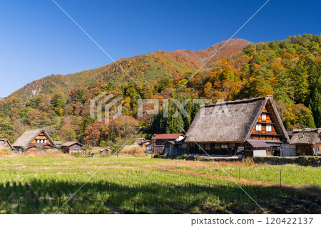 《岐阜縣》秋白川鄉秋葉合掌祖里村 《岐阜縣》秋白川鄉秋葉合掌祖里村 120422137
