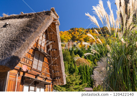 《Gifu Prefecture》 Autumn Shirakawa-go, autumn leaves gassho-zukuri village 《Gifu Prefecture》 Autumn Shirakawa-go, autumn leaves gassho-zukuri village 120422140