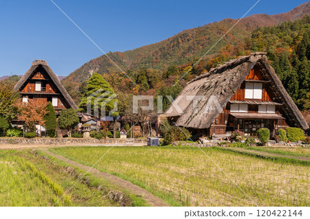 《岐阜縣》秋白川鄉秋葉合掌祖里村 120422144