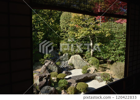 Taizoin Temple - Motonobu's Garden seen from the Hojo [Scenic Place of Historical Interest Garden] 120422833