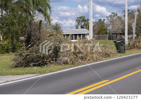 Cut down and fallen trees branches disposed in heaps on street side after hurricane severely damaged houses in Florida mobile home residential area. Consequences of natural disaster 120423177