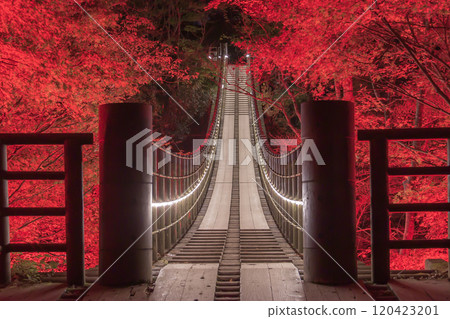 Illuminated bridge with autumn leaves Illuminated bridge with autumn leaves 120423201