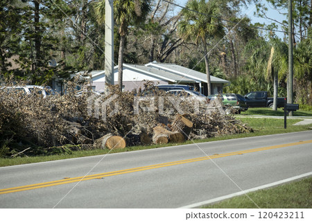 Broken tree limbs and branches on roadside from hurricane wind in Florida residential area. Aftermath of natural disaster 120423211