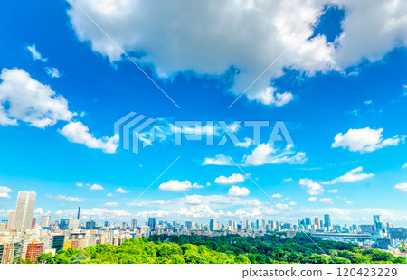 Clouds floating in the big city sky 120423229