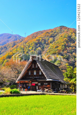 Gokayama (Suganuma) Gassho Village 120423322