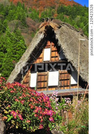 五箇山（相倉）合掌村 120423326