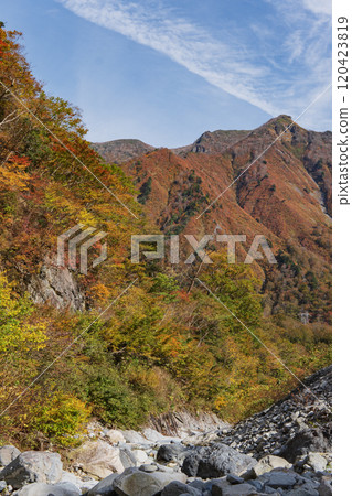 群馬縣,從谷川山一倉澤眺望紅葉【上信越高原國立公園】水上町 群馬縣,從谷川山一倉澤眺望紅葉【上信越高原國立公園】水上町 120423819