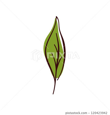 Green leaf of basil in simple flat design. Ideal for natural, organic, and eco friendly themes. Isolated on white background. 120423942