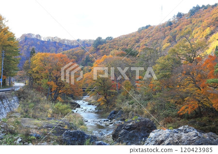 Autumn leaves along the Tateiwa River in Minamiaizu Town, Minamiaizu District, Fukushima Prefecture Autumn leaves along the Tateiwa River in Minamiaizu Town, Minamiaizu District, Fukushima Prefecture 120423985