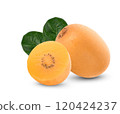 Fresh golden kiwi on white background 120424237