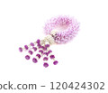 Fresh flower garland on white background 120424302