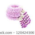 Fresh flower garland on white background 120424306