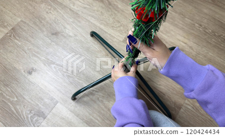 Installing folding Christmas tree for home in stand 120424434