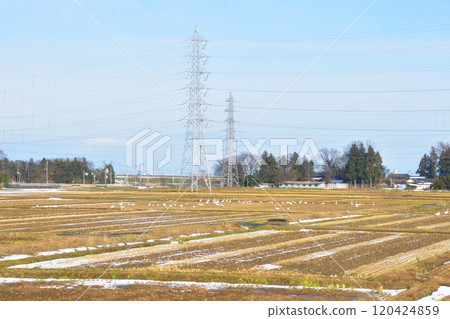 從JR東日本磐越西線真下站到新津站的車窗所看到的景色（2022年12月） 120424859