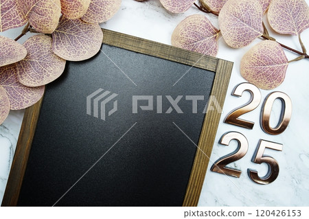 2025 New Year background text with eucalyptus leaves on marble background 2025 New Year background text with eucalyptus leaves on marble background 120426153