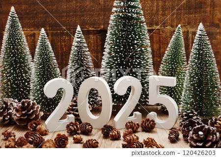 Happy New Year 2025 festive background with christmas tree and pine cone decoration on wooden background Happy New Year 2025 festive background with christmas tree and pine cone decoration on wooden background 120426203