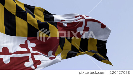 close-up of Maryland state flag waving on a clear day close-up of Maryland state flag waving on a clear day 120427028