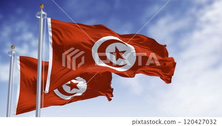 Detail of the Tunisia national flag waving. 120427032