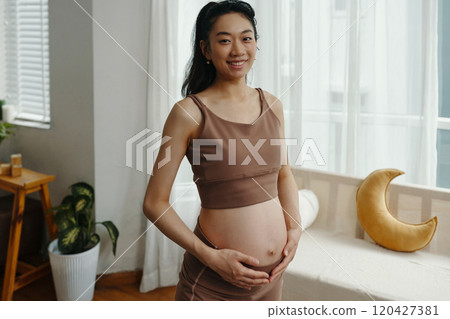 Smiling Pregnant Woman Touching Her Belly at Home Smiling Pregnant Woman Touching Her Belly at Home 120427381