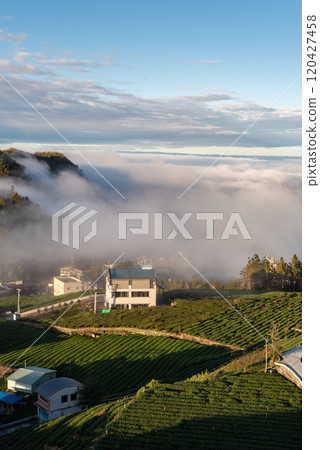 嘉義 石棹雲海季 嘉義 石棹雲海季 120427458