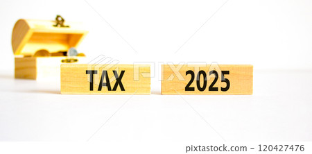 Planning tax 2025 new year symbol. Concept words Tax 2025 on beautiful wooden blocks. Beautiful white background. Wooden chest with coins. Business tax 2025 new year concept. Copy space. Planning tax 2025 new year symbol. Concept words Tax 2025 on beautiful wooden blocks. Beautiful white background. Wooden chest with coins. Business tax 2025 new year concept. Copy space. 120427476